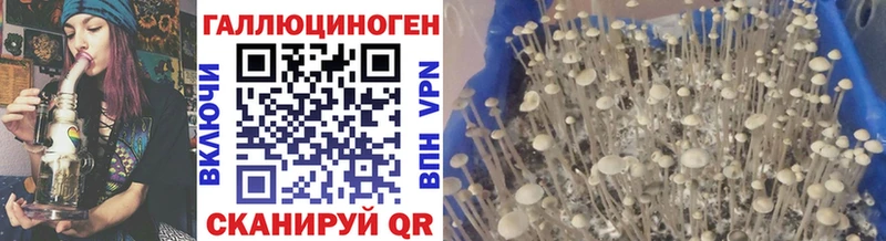 Псилоцибиновые грибы ЛСД  Купить  Котельники 
